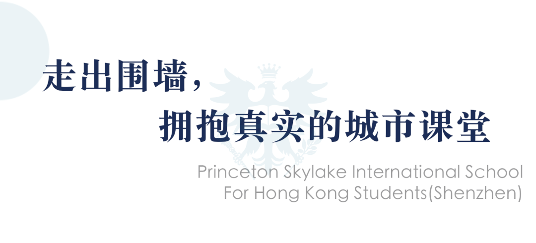 项目驱动,城市为伴:PSIS学子一周的跨领域探索记