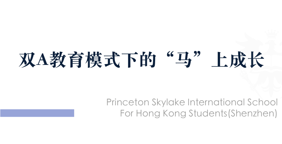 骑士精神,无问西东:PSIS马术课如何塑造世界公民